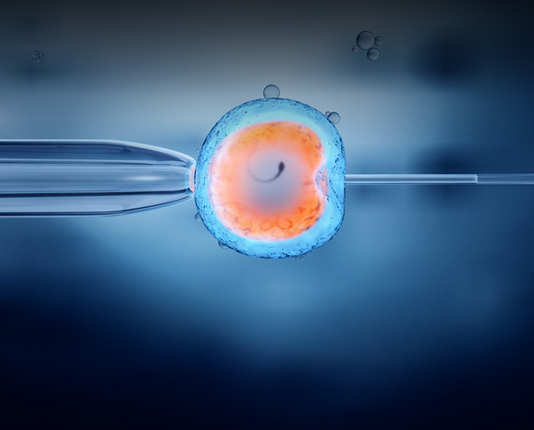 IVF and Fertility Treatments