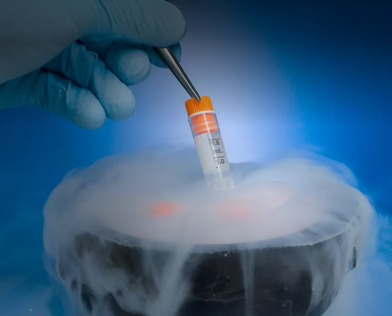 Egg Freezing
